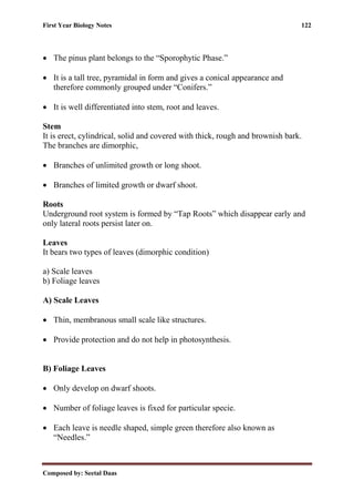 First Year Biology Notes 122
Composed by: Seetal Daas
• The pinus plant belongs to the “Sporophytic Phase.”
• It is a tall tree, pyramidal in form and gives a conical appearance and
therefore commonly grouped under “Conifers.”
• It is well differentiated into stem, root and leaves.
Stem
It is erect, cylindrical, solid and covered with thick, rough and brownish bark.
The branches are dimorphic,
• Branches of unlimited growth or long shoot.
• Branches of limited growth or dwarf shoot.
Roots
Underground root system is formed by “Tap Roots” which disappear early and
only lateral roots persist later on.
Leaves
It bears two types of leaves (dimorphic condition)
a) Scale leaves
b) Foliage leaves
A) Scale Leaves
• Thin, membranous small scale like structures.
• Provide protection and do not help in photosynthesis.
B) Foliage Leaves
• Only develop on dwarf shoots.
• Number of foliage leaves is fixed for particular specie.
• Each leave is needle shaped, simple green therefore also known as
“Needles.”
 