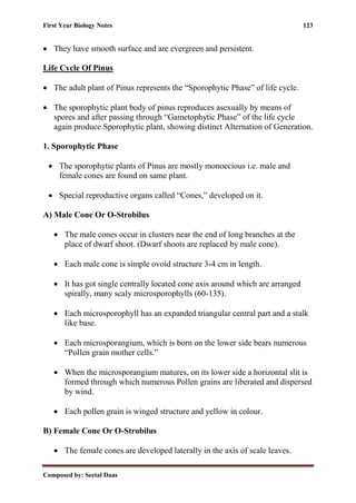 First Year Biology Notes 123
Composed by: Seetal Daas
• They have smooth surface and are evergreen and persistent.
Life Cycle Of Pinus
• The adult plant of Pinus represents the “Sporophytic Phase” of life cycle.
• The sporophytic plant body of pinus reproduces asexually by means of
spores and after passing through “Gametophytic Phase” of the life cycle
again produce Sporophytic plant, showing distinct Alternation of Generation.
1. Sporophytic Phase
• The sporophytic plants of Pinus are mostly monoecious i.e. male and
female cones are found on same plant.
• Special reproductive organs called “Cones,” developed on it.
A) Male Cone Or O-Strobilus
• The male cones occur in clusters near the end of long branches at the
place of dwarf shoot. (Dwarf shoots are replaced by male cone).
• Each male cone is simple ovoid structure 3-4 cm in length.
• It has got single centrally located cone axis around which are arranged
spirally, many scaly microsporophylls (60-135).
• Each microsporophyll has an expanded triangular central part and a stalk
like base.
• Each microsporangium, which is born on the lower side bears numerous
“Pollen grain mother cells.”
• When the microsporangium matures, on its lower side a horizontal slit is
formed through which numerous Pollen grains are liberated and dispersed
by wind.
• Each pollen grain is winged structure and yellow in colour.
B) Female Cone Or O-Strobilus
• The female cones are developed laterally in the axis of scale leaves.
 