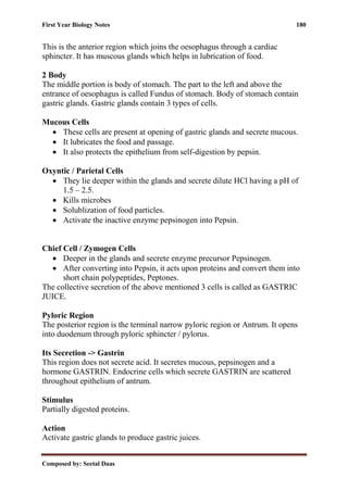 First Year Biology Notes 180
Composed by: Seetal Daas
This is the anterior region which joins the oesophagus through a cardiac
sphincter. It has muscous glands which helps in lubrication of food.
2 Body
The middle portion is body of stomach. The part to the left and above the
entrance of oesophagus is called Fundus of stomach. Body of stomach contain
gastric glands. Gastric glands contain 3 types of cells.
Mucous Cells
• These cells are present at opening of gastric glands and secrete mucous.
• It lubricates the food and passage.
• It also protects the epithelium from self-digestion by pepsin.
Oxyntic / Parietal Cells
• They lie deeper within the glands and secrete dilute HCl having a pH of
1.5 – 2.5.
• Kills microbes
• Solublization of food particles.
• Activate the inactive enzyme pepsinogen into Pepsin.
Chief Cell / Zymogen Cells
• Deeper in the glands and secrete enzyme precursor Pepsinogen.
• After converting into Pepsin, it acts upon proteins and convert them into
short chain polypeptides, Peptones.
The collective secretion of the above mentioned 3 cells is called as GASTRIC
JUICE.
Pyloric Region
The posterior region is the terminal narrow pyloric region or Antrum. It opens
into duodenum through pyloric sphincter / pylorus.
Its Secretion -> Gastrin
This region does not secrete acid. It secretes mucous, pepsinogen and a
hormone GASTRIN. Endocrine cells which secrete GASTRIN are scattered
throughout epithelium of antrum.
Stimulus
Partially digested proteins.
Action
Activate gastric glands to produce gastric juices.
 