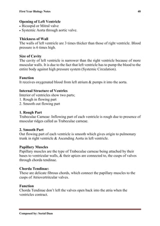 First Year Biology Notes 40
Composed by: Seetal Daas
Opening of Left Ventricle
• Bicuspid or Mitral valve
• Systemic Aorta through aortic valve.
Thickness of Wall
The walls of left ventricle are 3 times thicker than those of right ventricle. Blood
pressure is 6 times high.
Size of Cavity
The cavity of left ventricle is narrower than the right ventricle because of more
muscular walls. It is due to the fact that left ventricle has to pump the blood to the
entire body against high pressure system (Systemic Circulation).
Function
It receives oxygenated blood from left atrium & pumps it into the aorta.
Internal Structure of Ventrles
Interior of ventricles show two parts;
1. Rough in flowing part
2. Smooth out flowing part
1. Rough Part
Trabeculae Carneae: Inflowing part of each ventricle is rough due to presence of
muscular ridges called as Trabeculae carneae.
2. Smooth Part
Out flowing part of each ventricle is smooth which gives origin to pulmonary
trunk in right ventricle & Ascending Aorta in left ventricle.
Papillary Muscles
Papillary muscles are the type of Trabeculae carneae being attached by their
bases to ventricular walls, & their apices are connected to, the cusps of valves
through chorda tendinae.
Chorda Tendinae:
These are delicate fibrous chords, which connect the papillary muscles to the
cusps of Atriovertritcular valves.
Function
Chorda Tendinae don’t left the valves open back into the atria when the
ventricles contract.
 