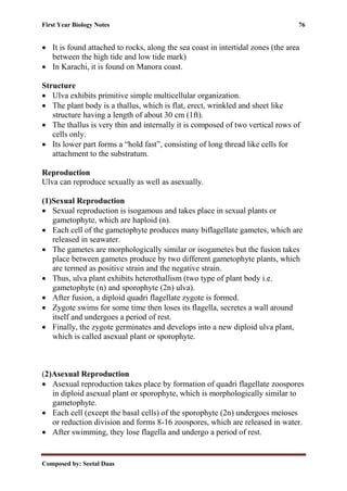 First Year Biology Notes 76
Composed by: Seetal Daas
• It is found attached to rocks, along the sea coast in intertidal zones (the area
between the high tide and low tide mark)
• In Karachi, it is found on Manora coast.
Structure
• Ulva exhibits primitive simple multicellular organization.
• The plant body is a thallus, which is flat, erect, wrinkled and sheet like
structure having a length of about 30 cm (1ft).
• The thallus is very thin and internally it is composed of two vertical rows of
cells only.
• Its lower part forms a “hold fast”, consisting of long thread like cells for
attachment to the substratum.
Reproduction
Ulva can reproduce sexually as well as asexually.
(1)Sexual Reproduction
• Sexual reproduction is isogamous and takes place in sexual plants or
gametophyte, which are haploid (n).
• Each cell of the gametophyte produces many biflagellate gametes, which are
released in seawater.
• The gametes are morphologically similar or isogametes but the fusion takes
place between gametes produce by two different gametophyte plants, which
are termed as positive strain and the negative strain.
• Thus, ulva plant exhibits heterothallism (two type of plant body i.e.
gametophyte (n) and sporophyte (2n) ulva).
• After fusion, a diploid quadri flagellate zygote is formed.
• Zygote swims for some time then loses its flagella, secretes a wall around
itself and undergoes a period of rest.
• Finally, the zygote germinates and develops into a new diploid ulva plant,
which is called asexual plant or sporophyte.
(2)Asexual Reproduction
• Asexual reproduction takes place by formation of quadri flagellate zoospores
in diploid asexual plant or sporophyte, which is morphologically similar to
gametophyte.
• Each cell (except the basal cells) of the sporophyte (2n) undergoes meioses
or reduction division and forms 8-16 zoospores, which are released in water.
• After swimming, they lose flagella and undergo a period of rest.
 