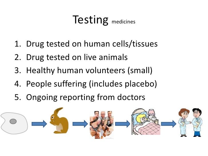 Biology revision for B1