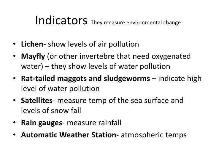 Biology revision for B1