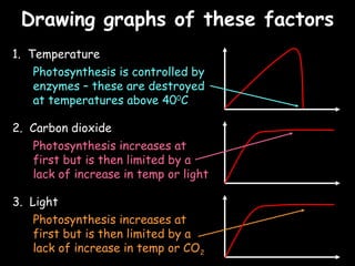 04/25/16
Drawing graphs of these factorsDrawing graphs of these factors
1. Temperature
Photosynthesis is controlled by
enzymes – these are destroyed
at temperatures above 400
C
2. Carbon dioxide
3. Light
Photosynthesis increases at
first but is then limited by a
lack of increase in temp or CO2
Photosynthesis increases at
first but is then limited by a
lack of increase in temp or light
 