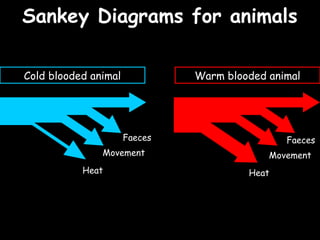 04/25/16
Sankey Diagrams for animalsSankey Diagrams for animals
Cold blooded animal Warm blooded animal
Faeces
Movement
Heat
Faeces
Movement
Heat
 