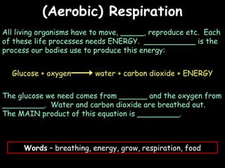 04/25/16
(Aerobic) Respiration(Aerobic) Respiration
Words – breathing, energy, grow, respiration, food
All living organisms have to move, _____, reproduce etc. Each
of these life processes needs ENERGY. ___________ is the
process our bodies use to produce this energy:
Glucose + oxygen water + carbon dioxide + ENERGY
The glucose we need comes from ______ and the oxygen from
_________. Water and carbon dioxide are breathed out.
The MAIN product of this equation is _________.
 