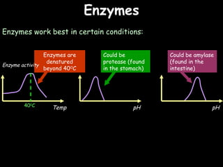04/25/16
Enzymes are
denatured
beyond 40O
C
EnzymesEnzymes
Enzymes work best in certain conditions:
Enzyme activity
Temp pH pH400
C
Could be
protease (found
in the stomach)
Could be amylase
(found in the
intestine)
 