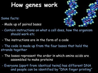 04/25/16
Some facts:
- Made up of paired bases
- Contain instructions on what a cell does, how the organism
should work etc
- The instructions are in the form of a code
- The code is made up from the four bases that hold the
strands together
- The bases represent the order in which amino acids are
assembled to make proteins
- Everyone (apart from identical twins) has different DNA
and people can be identified by “DNA finger printing”
How genes workHow genes work
 