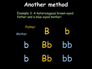 04/25/16
B b
b
b
Another methodAnother method
Example 3: A heterozygous brown-eyed
father and a blue-eyed mother:
B b
b Bb bb
b Bb bb
Father
Mother
 