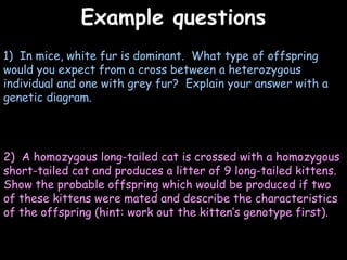 04/25/16
Example questionsExample questions
1) In mice, white fur is dominant. What type of offspring
would you expect from a cross between a heterozygous
individual and one with grey fur? Explain your answer with a
genetic diagram.
2) A homozygous long-tailed cat is crossed with a homozygous
short-tailed cat and produces a litter of 9 long-tailed kittens.
Show the probable offspring which would be produced if two
of these kittens were mated and describe the characteristics
of the offspring (hint: work out the kitten’s genotype first).
 