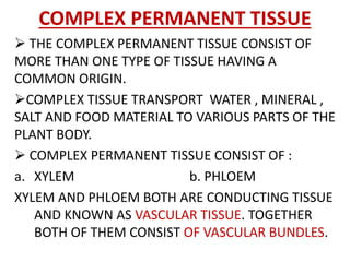 COMPLEX PERMANENT TISSUE
 THE COMPLEX PERMANENT TISSUE CONSIST OF
MORE THAN ONE TYPE OF TISSUE HAVING A
COMMON ORIGIN.
COMPLEX TISSUE TRANSPORT WATER , MINERAL ,
SALT AND FOOD MATERIAL TO VARIOUS PARTS OF THE
PLANT BODY.
 COMPLEX PERMANENT TISSUE CONSIST OF :
a. XYLEM b. PHLOEM
XYLEM AND PHLOEM BOTH ARE CONDUCTING TISSUE
AND KNOWN AS VASCULAR TISSUE. TOGETHER
BOTH OF THEM CONSIST OF VASCULAR BUNDLES.
 