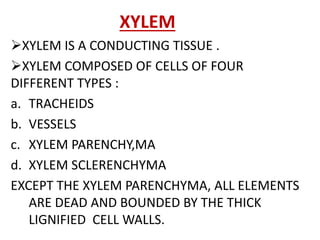 XYLEM
XYLEM IS A CONDUCTING TISSUE .
XYLEM COMPOSED OF CELLS OF FOUR
DIFFERENT TYPES :
a. TRACHEIDS
b. VESSELS
c. XYLEM PARENCHY,MA
d. XYLEM SCLERENCHYMA
EXCEPT THE XYLEM PARENCHYMA, ALL ELEMENTS
ARE DEAD AND BOUNDED BY THE THICK
LIGNIFIED CELL WALLS.
 