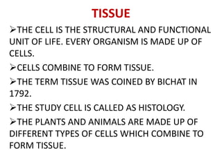 TISSUE
THE CELL IS THE STRUCTURAL AND FUNCTIONAL
UNIT OF LIFE. EVERY ORGANISM IS MADE UP OF
CELLS.
CELLS COMBINE TO FORM TISSUE.
THE TERM TISSUE WAS COINED BY BICHAT IN
1792.
THE STUDY CELL IS CALLED AS HISTOLOGY.
THE PLANTS AND ANIMALS ARE MADE UP OF
DIFFERENT TYPES OF CELLS WHICH COMBINE TO
FORM TISSUE.
 