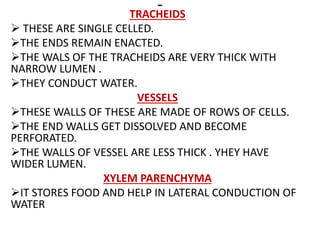 -TRACHEIDS
 THESE ARE SINGLE CELLED.
THE ENDS REMAIN ENACTED.
THE WALS OF THE TRACHEIDS ARE VERY THICK WITH
NARROW LUMEN .
THEY CONDUCT WATER.
VESSELS
THESE WALLS OF THESE ARE MADE OF ROWS OF CELLS.
THE END WALLS GET DISSOLVED AND BECOME
PERFORATED.
THE WALLS OF VESSEL ARE LESS THICK . YHEY HAVE
WIDER LUMEN.
XYLEM PARENCHYMA
IT STORES FOOD AND HELP IN LATERAL CONDUCTION OF
WATER
 