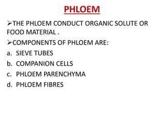 PHLOEM
THE PHLOEM CONDUCT ORGANIC SOLUTE OR
FOOD MATERIAL .
COMPONENTS OF PHLOEM ARE:
a. SIEVE TUBES
b. COMPANION CELLS
c. PHLOEM PARENCHYMA
d. PHLOEM FIBRES
 