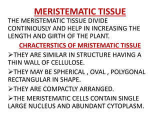MERISTEMATIC TISSUE
THE MERISTEMATIC TISSUE DIVIDE
CONTINIOUSLY AND HELP IN INCREASING THE
LENGTH AND GIRTH OF THE PLANT.
CHRACTERSTICS OF MRISTEMATIC TISSUE
THEY ARE SIMILAR IN STRUCTURE HAVING A
THIN WALL OF CELLULOSE.
THEY MAY BE SPHERICAL , OVAL , POLYGONAL
RECTANGULAR IN SHAPE.
THEY ARE COMPACTLY ARRANGED.
THE MERISTEMATIC CELLS CONTAIN SINGLE
LARGE NUCLEUS AND ABUNDANT CYTOPLASM.
 