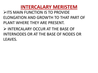 INTERCALARY MERISTEM
ITS MAIN FUNCTION IS TO PROVIDE
ELONGATION AND GROWTH TO THAT PART OF
PLANT WHERE THEY ARE PRESENT.
 INTERCALARY OCCUR AT THE BASE OF
INTERNODES OR AT THE BASE OF NODES OR
LEAVES.
 