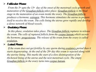  Follicular Phase:
From the 5th upto the 13th day of the onset of the menstrual cycle growth and
maturation of the Graafian follicle takes place. Graafian follicle is the final
stage in the maturation of an ovum inside the ovary. The Graafian follicle
produces a hormone, estrogen. This hormone stimulates the uterus to prepare
itself to receive the ovum. The cells lining the uterus grow rapidly and develop
a dense network of blood vessels.
 OvulatoryPhase:
In this phase, ovulation takes place. The Graafian follicle ruptures to release
the ovum. The cells of ruptured follicle form the corpus luteum which secrets
the hormone, progesterone. The release of the ovum from the ovary is called
ovulation.
 Luteal Phase:
If the ovum does not get fertilize by any sperm during ovulatory period then it
starts degenerating. At the end of the 28th day this ovum is rejected along with
the uterine lining. This marks the start of a slow disintegration of the
thickened lining of the uterus and the next menstrual cycle. The empty
Graafian follicle in the ovary turns into corpus luteum.
 