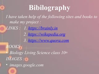 Bibilography
I have taken help of the following sites and books to
make my project :
LINKS : 1. https://brainly.in
2. https://wikepedia.org
3. https://www.quora.com
BOOKS :
• Biology Living Science class 10th
IMAGES :
• images.google.com
 