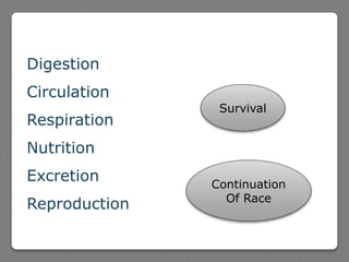 Digestion
Circulation
Respiration
Nutrition
Excretion
Reproduction
Survival
Continuation
Of Race
 