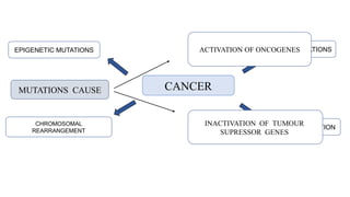 CANCER
POINT MUTATIONS
DNA AMPLIFICATION
EPIGENETIC MUTATIONS
CHROMOSOMAL
REARRANGEMENT
MUTATIONS CAUSE
ACTIVATION OF ONCOGENES
INACTIVATION OF TUMOUR
SUPRESSOR GENES
 