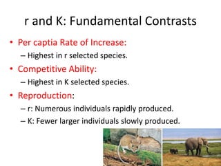 15
r and K: Fundamental Contrasts
• Per captia Rate of Increase:
– Highest in r selected species.
• Competitive Ability:
– Highest in K selected species.
• Reproduction:
– r: Numerous individuals rapidly produced.
– K: Fewer larger individuals slowly produced.
15
 