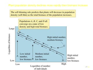2121
Plant population density declines more rapidly then biomass increase
 