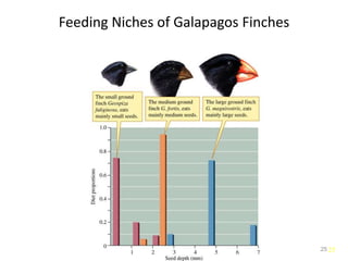 25
Feeding Niches of Galapagos Finches
25
 