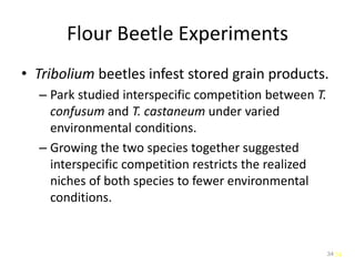 34
Flour Beetle Experiments
• Tribolium beetles infest stored grain products.
– Park studied interspecific competition between T.
confusum and T. castaneum under varied
environmental conditions.
– Growing the two species together suggested
interspecific competition restricts the realized
niches of both species to fewer environmental
conditions.
34
 