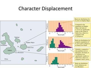 40
Character Displacement
40
 