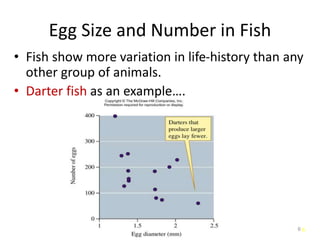 6
Egg Size and Number in Fish
• Fish show more variation in life-history than any
other group of animals.
• Darter fish as an example….
6
 