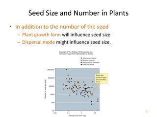 7
Seed Size and Number in Plants
• In addition to the number of the seed
– Plant growth form will influence seed size
– Dispersal mode might influence seed size.
7
 