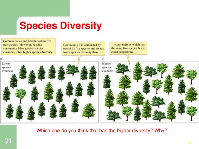 species diversity magdalene project org species diversity