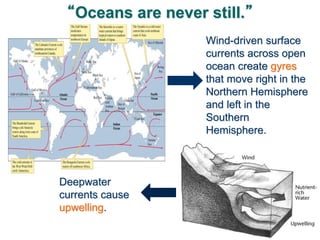 “Oceans are never still.”
Wind-driven surface
currents across open
ocean create gyres
that move right in the
Northern Hemisphere
and left in the
Southern
Hemisphere.
Deepwater
currents cause
upwelling.
 