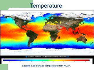 Temperature
Satellite Sea Surface Temperature from NOAA
 