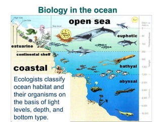 Biology in the ocean
Ecologists classify
ocean habitat and
their organisms on
the basis of light
levels, depth, and
bottom type.
 