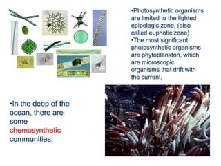 •In the deep of the
ocean, there are
some
chemosynthetic
communities.
•Photosynthetic organisms
are limited to the lighted
epipelagic zone. (also
called euphotic zone)
•The most significant
photosynthetic organisms
are phytoplankton, which
are microscopic
organisms that drift with
the current.
 