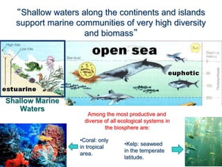 Shallow Marine
Waters
Among the most productive and
diverse of all ecological systems in
the biosphere are:
“Shallow waters along the continents and islands
support marine communities of very high diversity
and biomass”
•Kelp: seaweed
in the temperate
latitude.
•Coral: only
in tropical
area.
 