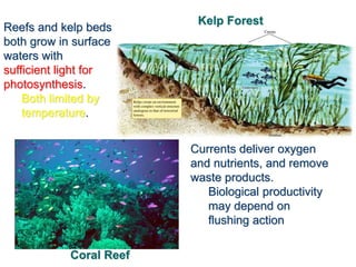 Coral Reef
Reefs and kelp beds
both grow in surface
waters with
sufficient light for
photosynthesis.
Both limited by
temperature.
Currents deliver oxygen
and nutrients, and remove
waste products.
Biological productivity
may depend on
flushing action
Kelp Forest
 