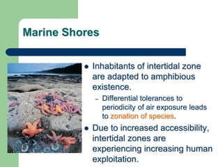 Marine Shores
 Inhabitants of intertidal zone
are adapted to amphibious
existence.
– Differential tolerances to
periodicity of air exposure leads
to zonation of species.
 Due to increased accessibility,
intertidal zones are
experiencing increasing human
exploitation.
 