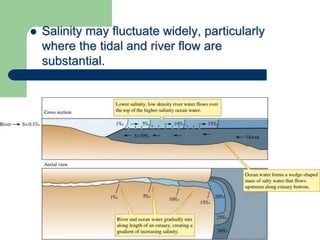  Salinity may fluctuate widely, particularly
where the tidal and river flow are
substantial.
 