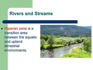 Rivers and Streams
 Riparian zone is a
transition area
between the aquatic
and upland
terrestrial
environments.
 