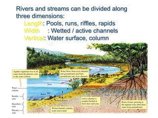 Rivers and streams can be divided along
three dimensions:
Length: Pools, runs, riffles, rapids
Width : Wetted / active channels
Vertical: Water surface, column
 