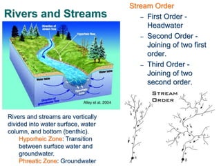 Rivers and Streams
Stream Order
– First Order -
Headwater
– Second Order -
Joining of two first
order.
– Third Order -
Joining of two
second order.
Rivers and streams are vertically
divided into water surface, water
column, and bottom (benthic).
Hyporheic Zone: Transition
between surface water and
groundwater.
Phreatic Zone: Groundwater
 