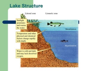 Lake Structure
 