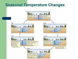 Seasonal Temperature Changes
 