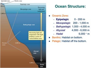 Ocean Structure:
 Oceanic Zone:
– Epipelagic 0 - 200 m
– Mesopelagic 200 - 1,000 m
– Bathypelagic 1,000 - 4,000 m
– Abyssal 4,000 - 6,000 m
– Hadal 6,000 + m
 Benthic: Habitat on bottom.
 Pelagic: Habitat off the bottom.
 