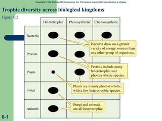 Copyright © The McGraw-Hill Companies, Inc. Permission required for reproduction or display.
Trophic diversity across biological kingdoms
Figure 6.2
6-1
 