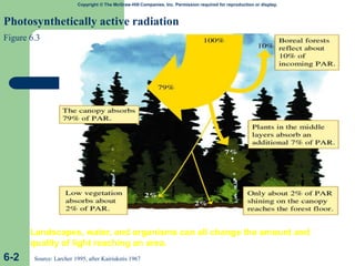 Copyright © The McGraw-Hill Companies, Inc. Permission required for reproduction or display.
Photosynthetically active radiation
Figure 6.3
6-2 Source: Larcher 1995, after Kairiukstis 1967
Landscapes, water, and organisms can all change the amount and
quality of light reaching an area.
 