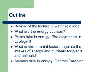 Outline
 Review of the lecture 6: water relations
 What are the energy sources?
 Plants take in energy: Photosynthesis in
Ecology!!!
 What environmental factors regulate the
intakes of energy and nutrients for plants
and animals?
 Animals take in energy: Optimal Foraging
 